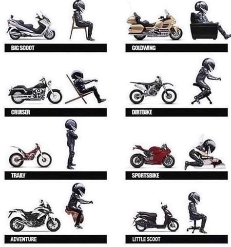 female riding positions|There Are *At Least* 16 Different Kinds Of Woman.